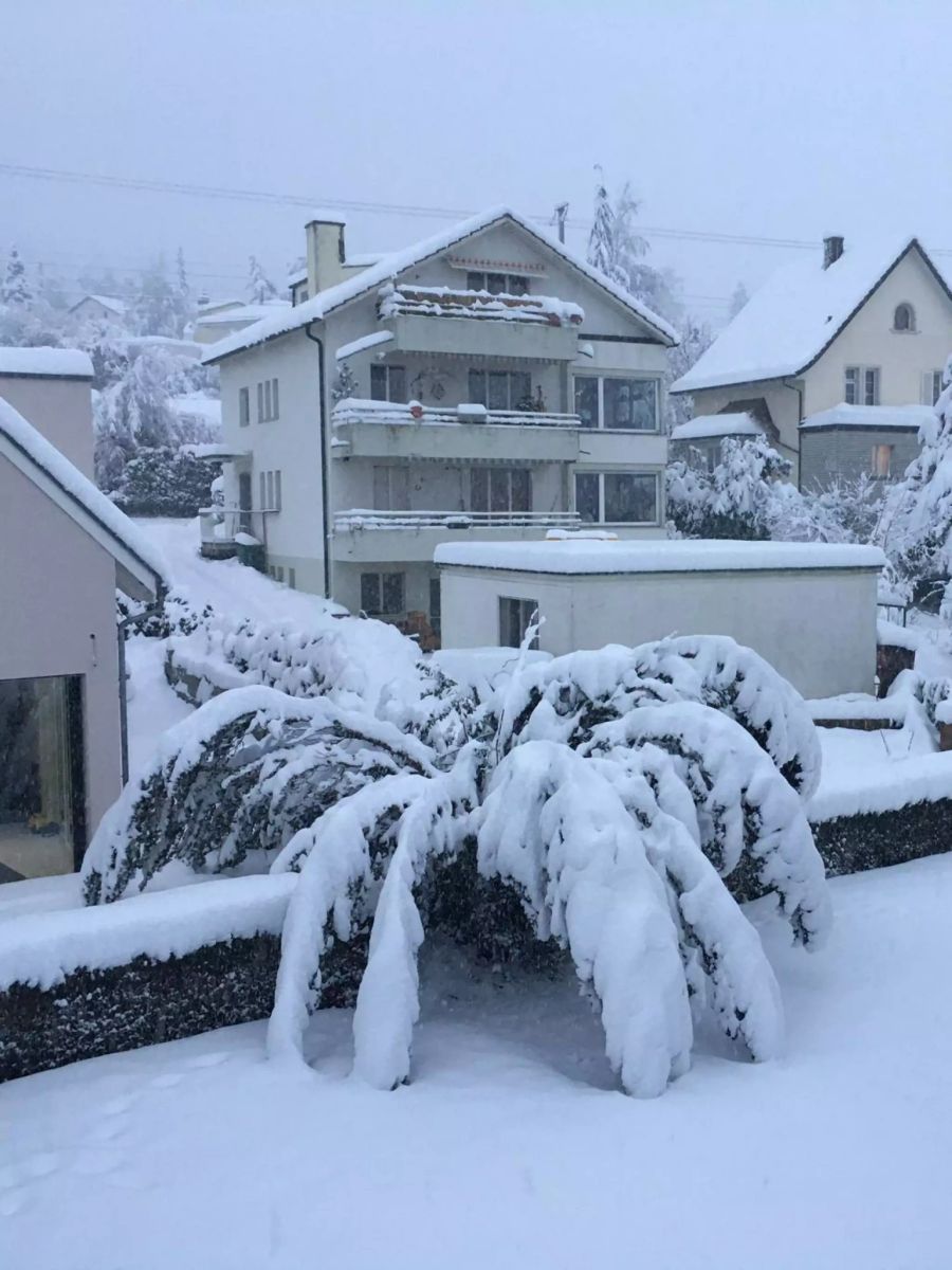 Schnee wohin das Auge reicht am Freitagmorgen auch in Urdorf ZH.