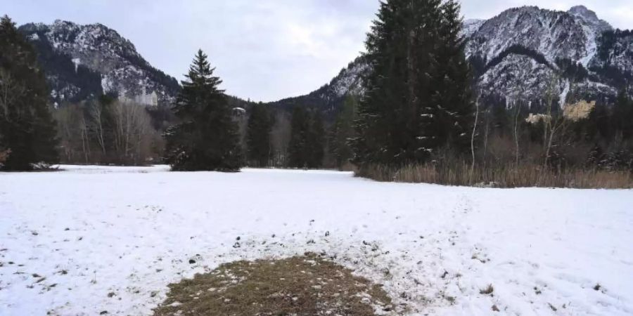 Eine kahle Stelle im Schnee markiert unterhalb des Schlosses Neuschwanstein den Platz, an dem vor einigen Tagen eine rätselhafte Stele entdeckt wurde. Foto: Karl-Josef Hildenbrand/dpa