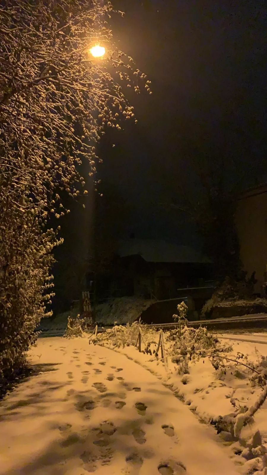 Auch in Schliern bei Köniz lag überall Schnee.