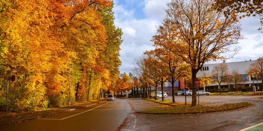 Der Schluefweg Kloten im Herbst.