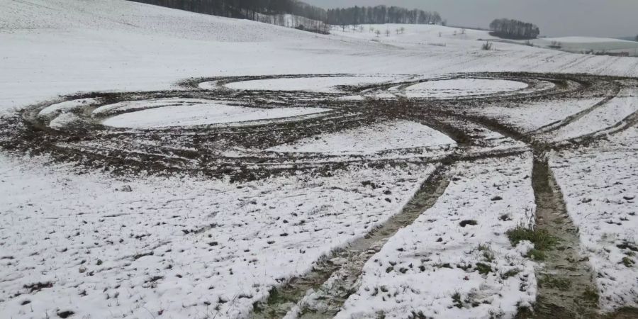 Zeglingen BL: Fahrzeuglenker drehte mutwillig Runden im Kulturland