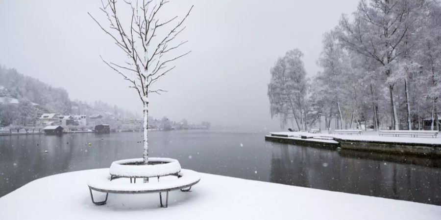 schnee weihnachten