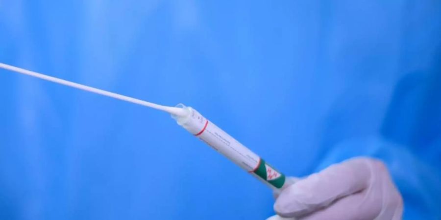 Ein Arzt hält einen Coronavirus-Test in den Händen. Foto: Robert Michael/dpa-Zentralbild/dpa/Symbolbild