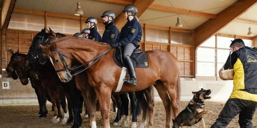 Cool bleiben: Im wöchentlichen Training wird Gelassenheit gegen Störfaktoren immer wieder geübt. Foto: Uwe Anspach/dpa
