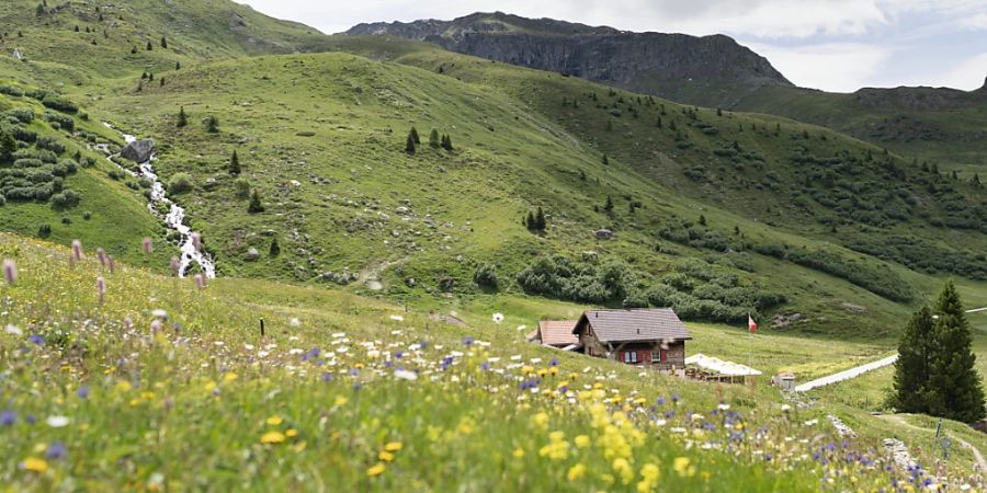 Biodiversitätsinitiative