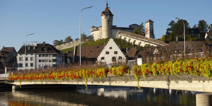 Feuerthalen am Rhein. - Feuerthalen