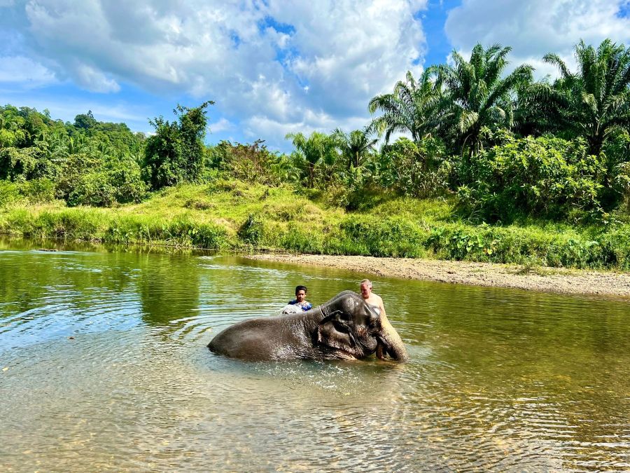 Elefantencamps in Thailand