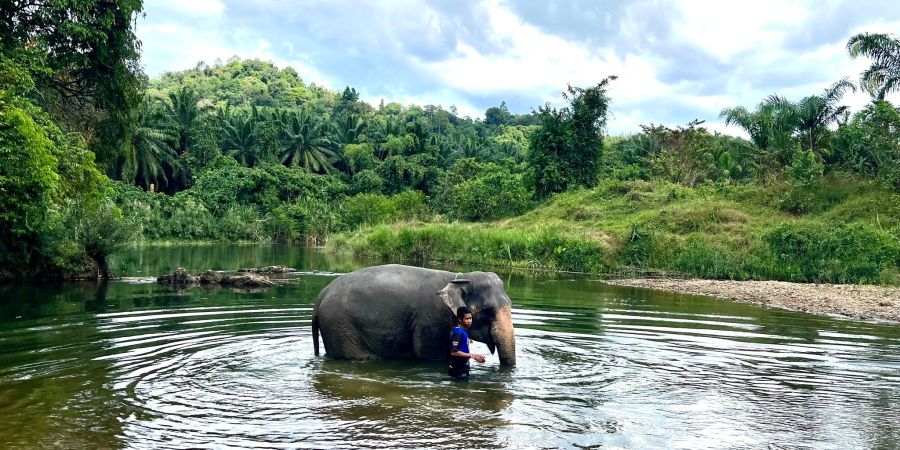 Elefantencamp in Thailand