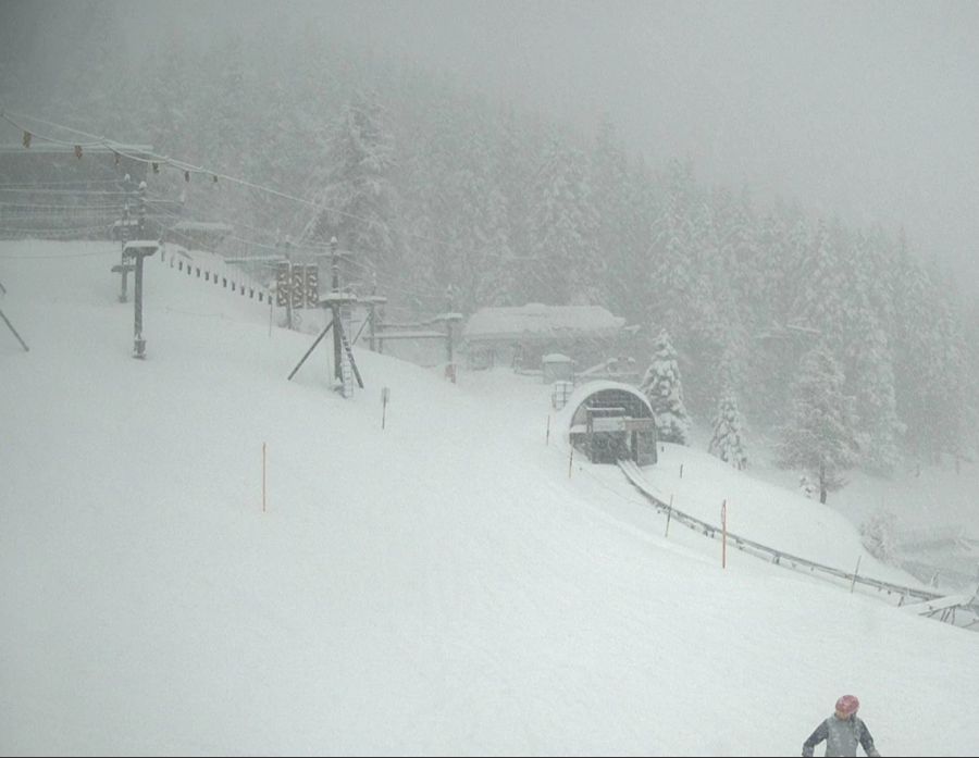 Auch auf dem Pradaschier in der Ferienregion Lenzerheide zeigen sich die Bäume tief verscheit.