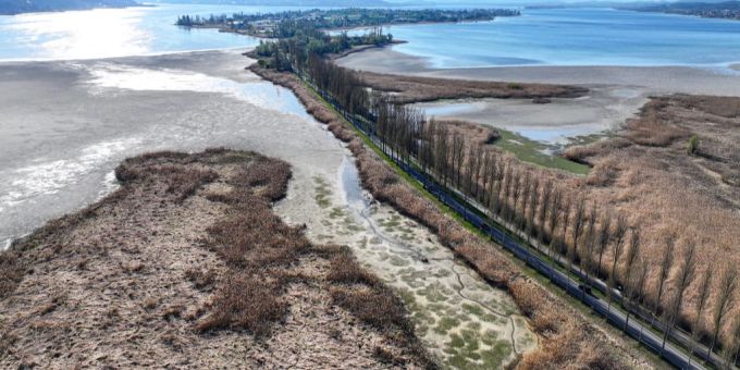 Der Bodensee ist besonders von der Trockenheit betroffen. europa