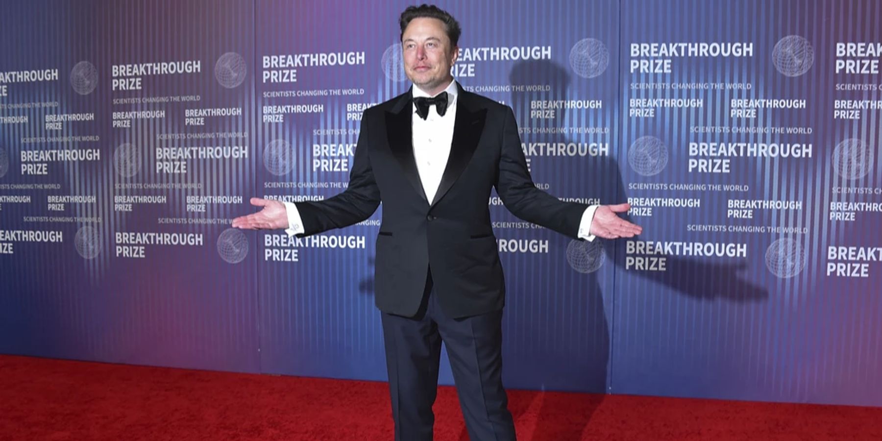 AfD: Unterstützung durch Elon Musk bei Wahlkampfauftakt | Nau.ch