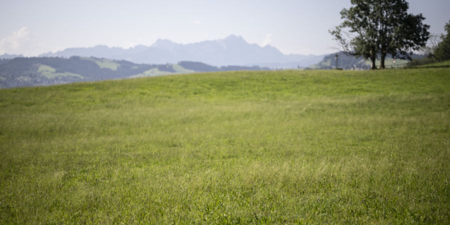Als Dünger eingesetzter Klärschlamm ist für einen Teil der Belastung der Landwirtschaftsböden durch PFAS verantwortlich. Nun wird nach den Schuldigen gesucht. (Archivbild)