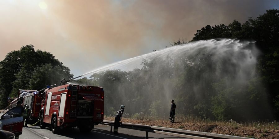 Saarland Waldbrand