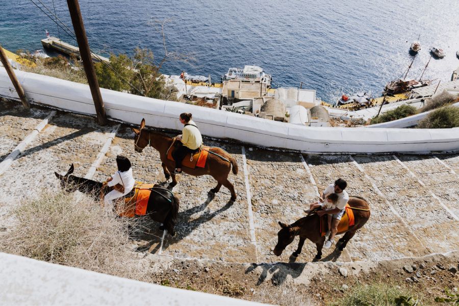 Auf Santorini transportieren Esel Touristen die 500 Stufen vom Hafen zur Stadt hoch.