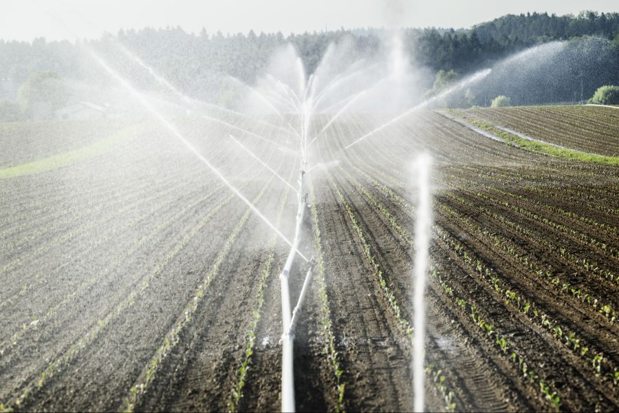Beim Phosphor ist vor allem die Landwirtschaft gefordert.