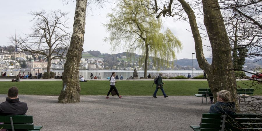 Auf dem Inseli in der Stadt Luzern betreibt die Energieversorgerin EWL eine Zentrale ihres See-Energie-Netzes, das sie in den kommenden Jahren ausbauen will. (Archivbild)