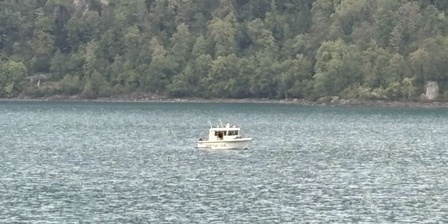 Walensee