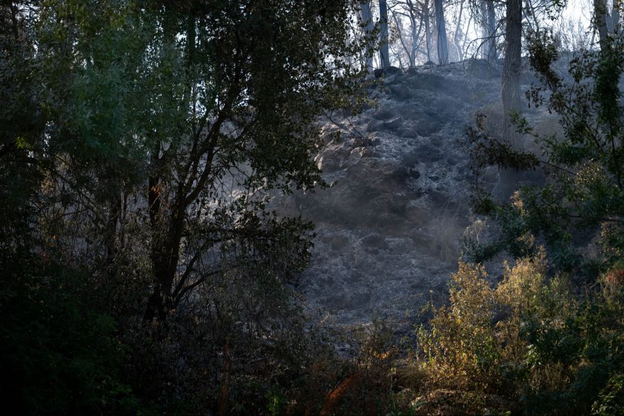 Im Süden Spaniens wütet ein schwerer Waldbrand.