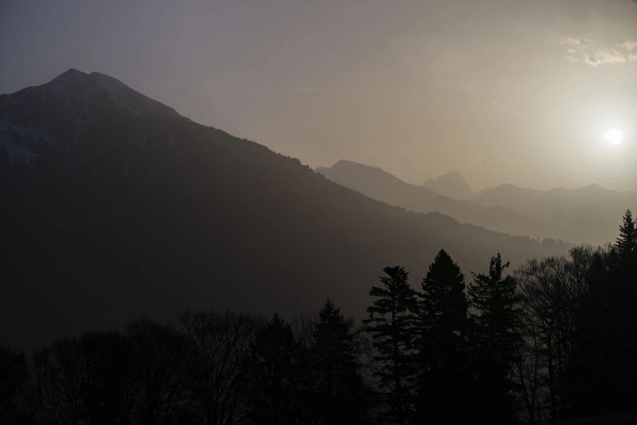 Der Himmel ist trüb und gelblich.