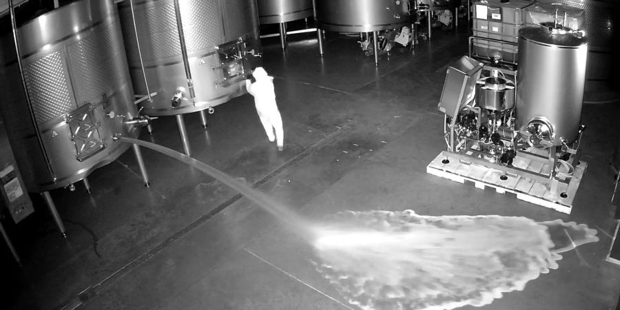 Aufnahme einer Sicherheitskamera: Im Lagerraum des Weinguts Cepa 21 Wein wird Wein verschüttet.