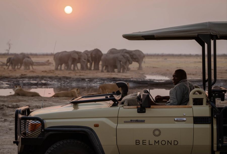 Belmond Jeep, Safari, Elefanten