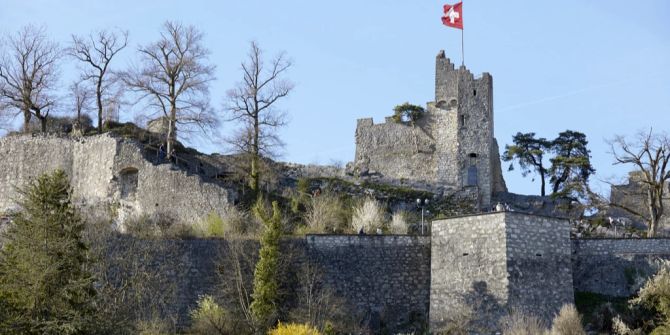 Ruine Stein