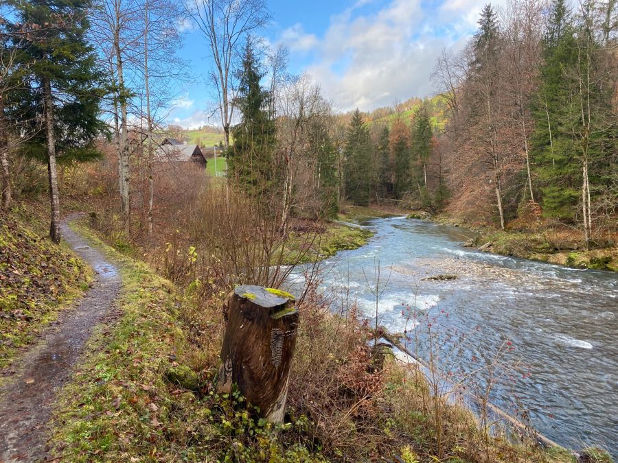 Thur Wanderung Fluss