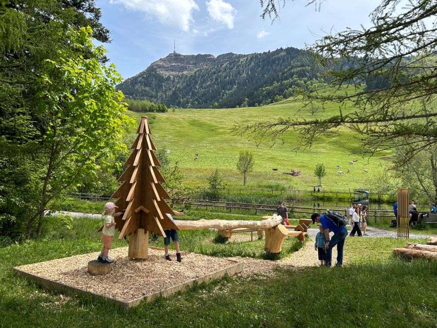 Rigi Kugelbahn Chugelbahn