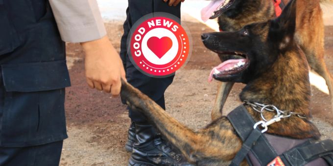Dank Officer Grady und seiner K9-Hündin sind die Teenagerinnen wohlauf. (Symbolbild) Polizist Hund Mädchen gerettet
