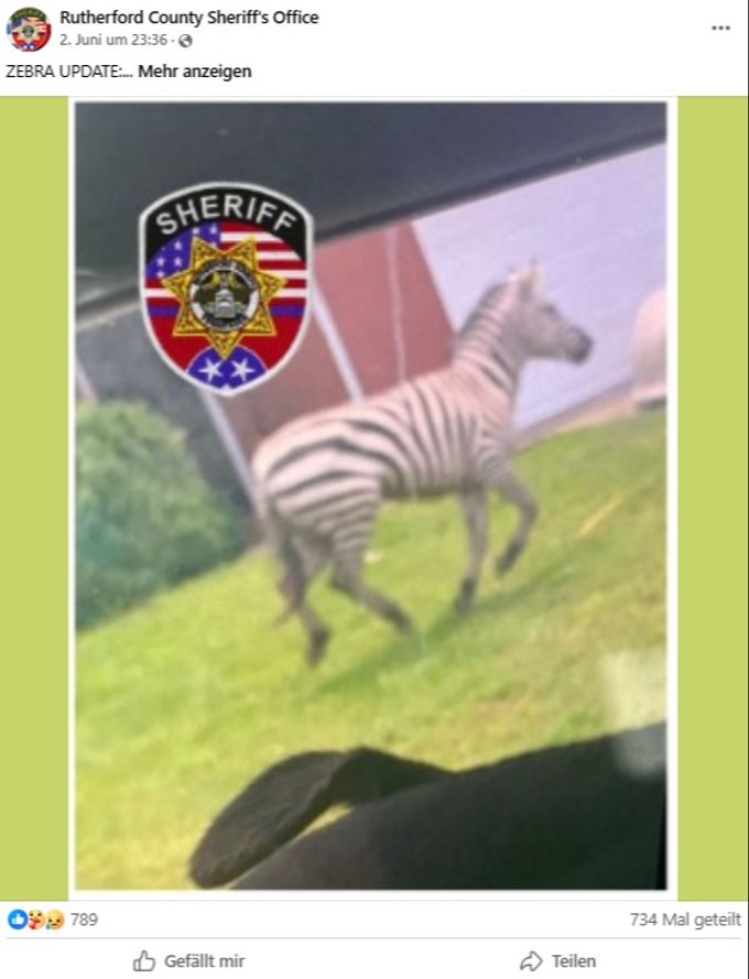 Der Sheriff teilte immer wieder Posts über die Zebra-Suche auf Facebook. Zebra