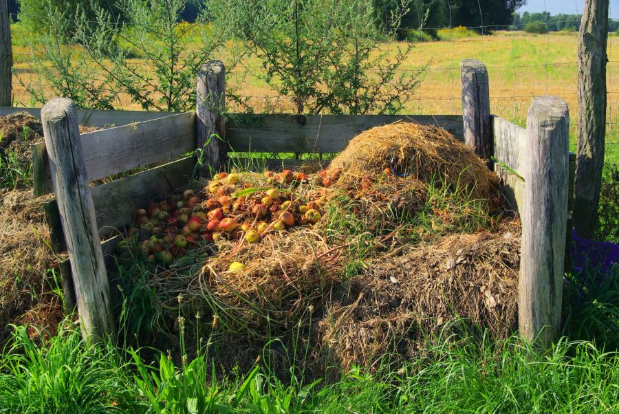 Komposthaufen im Garten