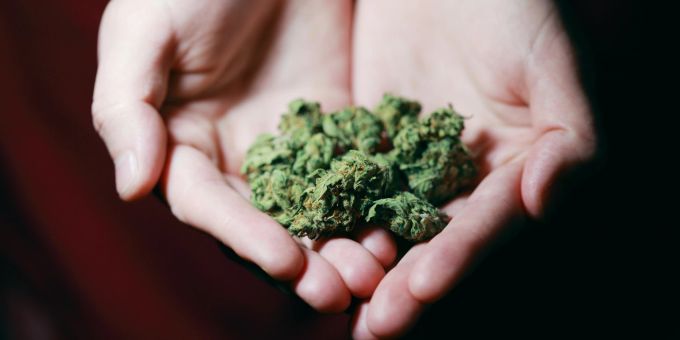 Ein Highlight in Luzern: Cannabis-Konsumierende können sich dort als Studienteilnehmer bewerben. (Symbolbild) luzern kiffen gras legal