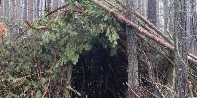 Mit den richtigen Outdoor-Fähigkeiten können Sie sich in der Natur zurechtfinden. Outdoor