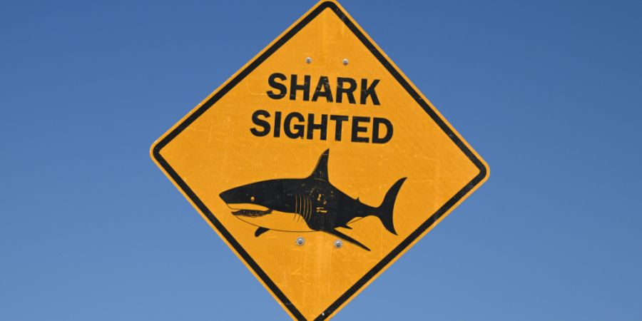 ARCHIV - Ein Schild warnt vor Haien an einem Strand in Australien. Foto: Dean Lewins/AAP/dpa/Archivbild