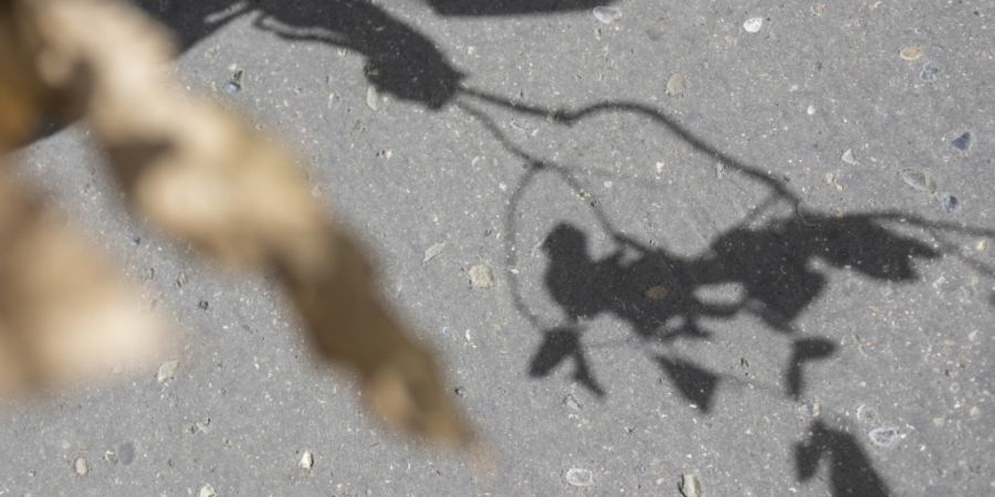 Künstliche Intelligenz erkennt Umrisse laut einer Studie oft nicht. (Archivbild)