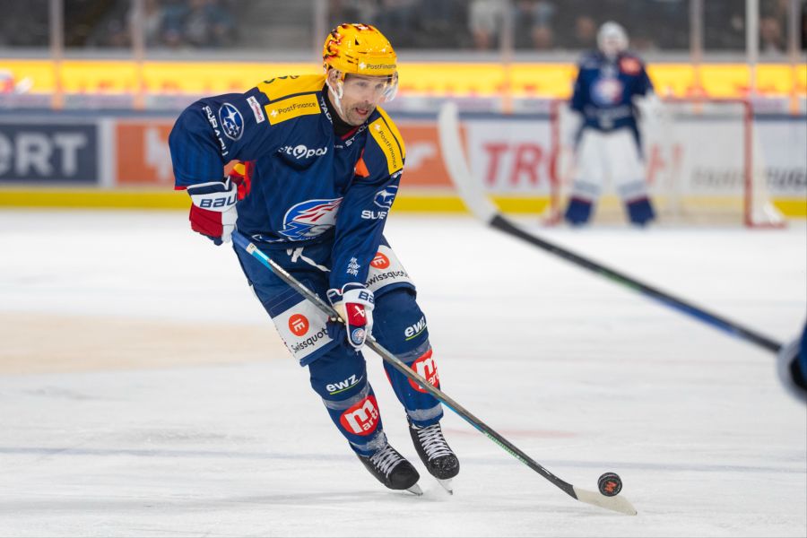 zsc lions