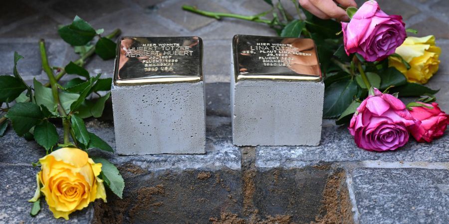 afd cdu stolpersteine