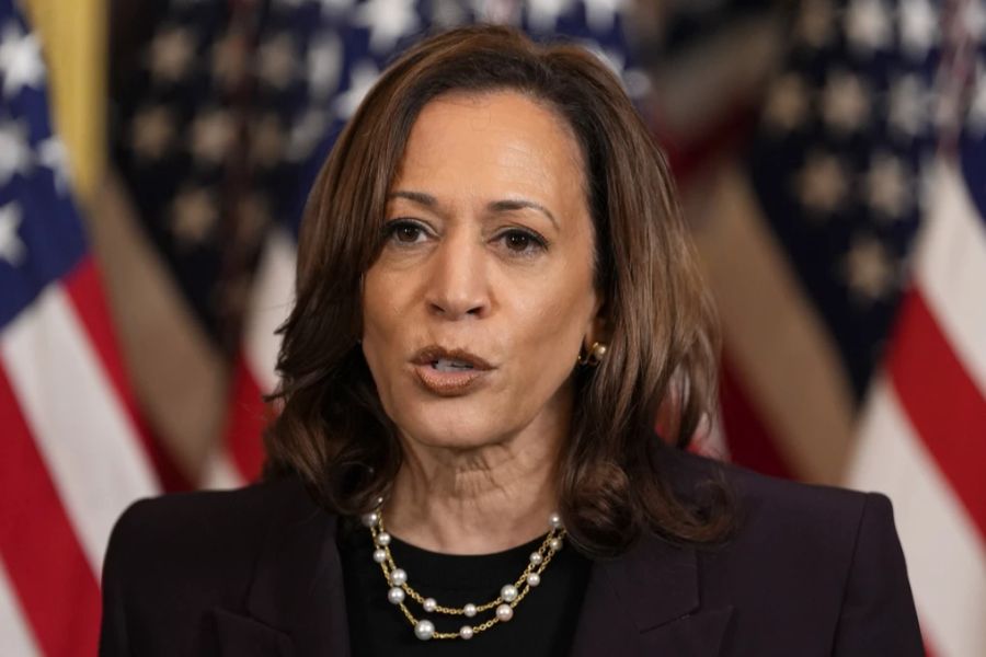 Weil Kamala Harris bereits Vizepräsidentin ist, falle es Leuten vielleicht einfacher, sie sich als Präsidentin vorzustellen, sagt USA-Expertin Caroline Leicht.