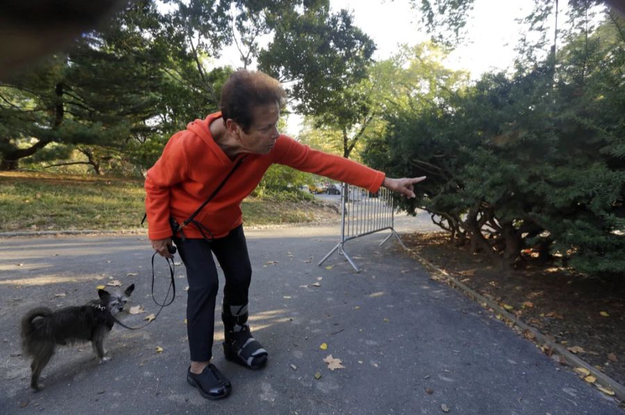 Diese Frau fand im Jahr 2014 eine junge Bärin tot im Central Park.