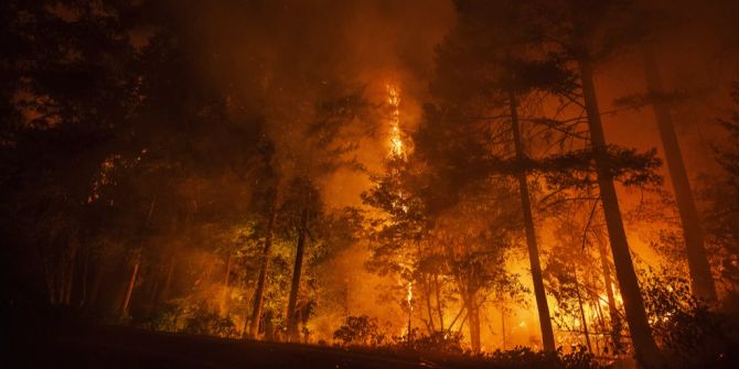 Waldbrand in Kalifornien