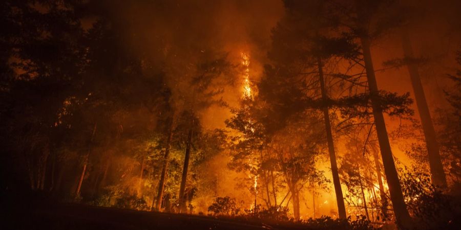 Waldbrand in Kalifornien