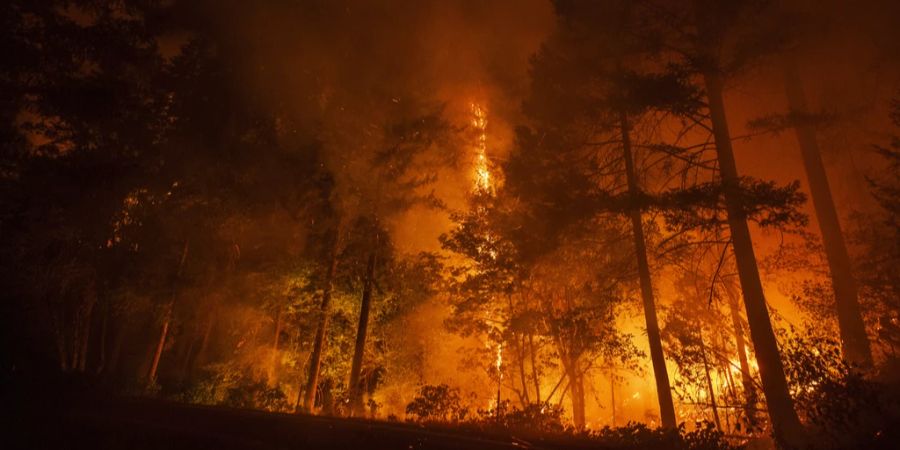 Waldbrand