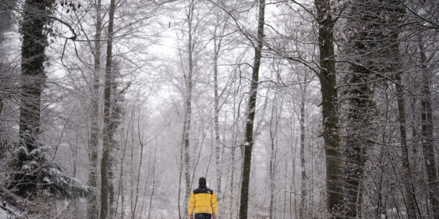 Waldspaziergang statt Wellness: Wie Naturerlebnisse unser Körperbild stärken und letztlich die Zufriedenheit erhöhen. (Archivbild)