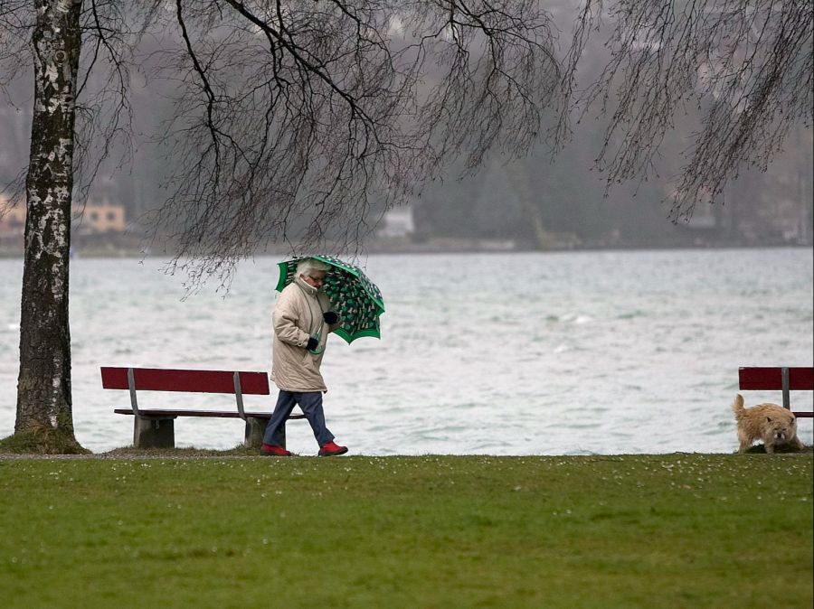 Eine neue Verordnung soll die Nutzungskonflikte am Uferweg entschärfen.