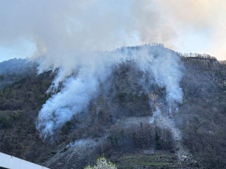 Waldbrand Löscharbeiten