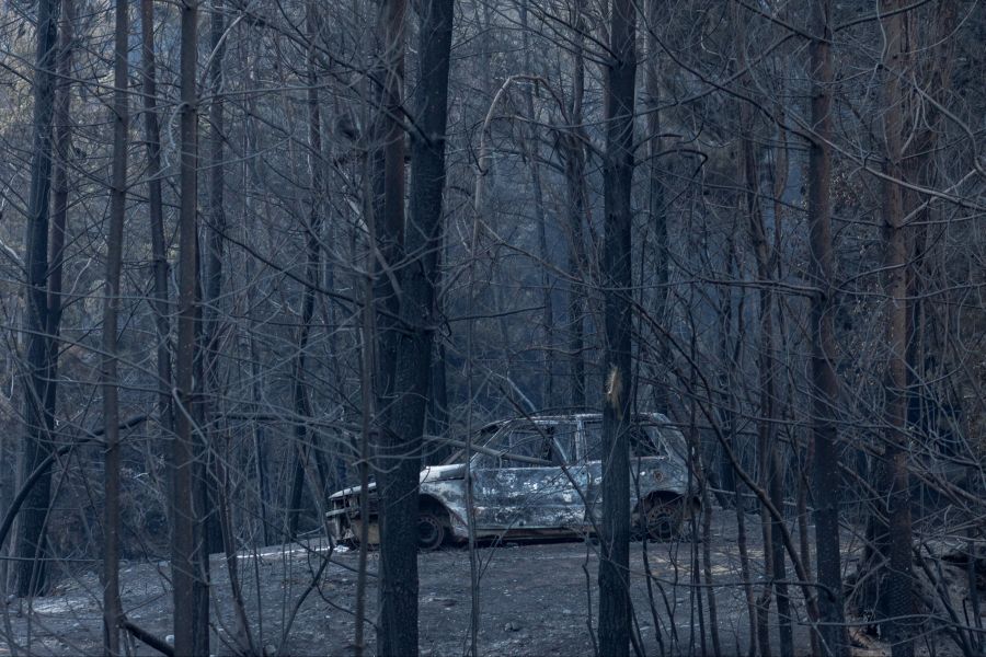 waldbrände argentinien