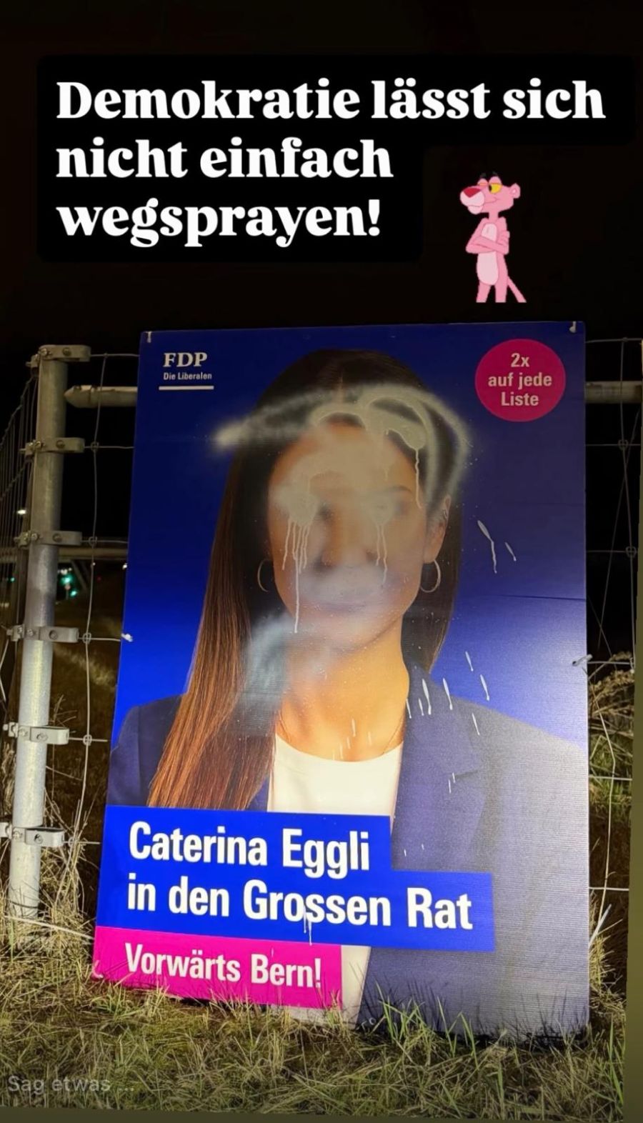 Auch die Wahlplakate von Caterina Eggli wurden verunstaltet.
