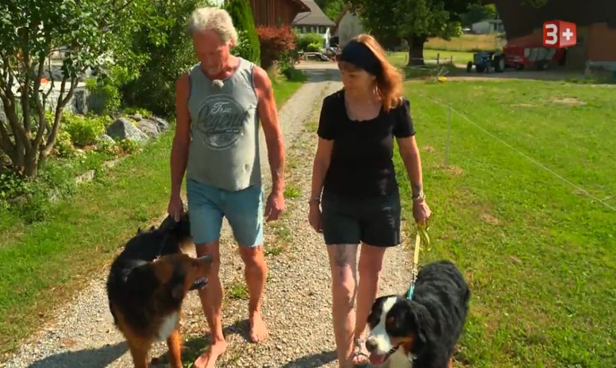 Auch die Hunde von Jonny und Andrea verstanden sich super.