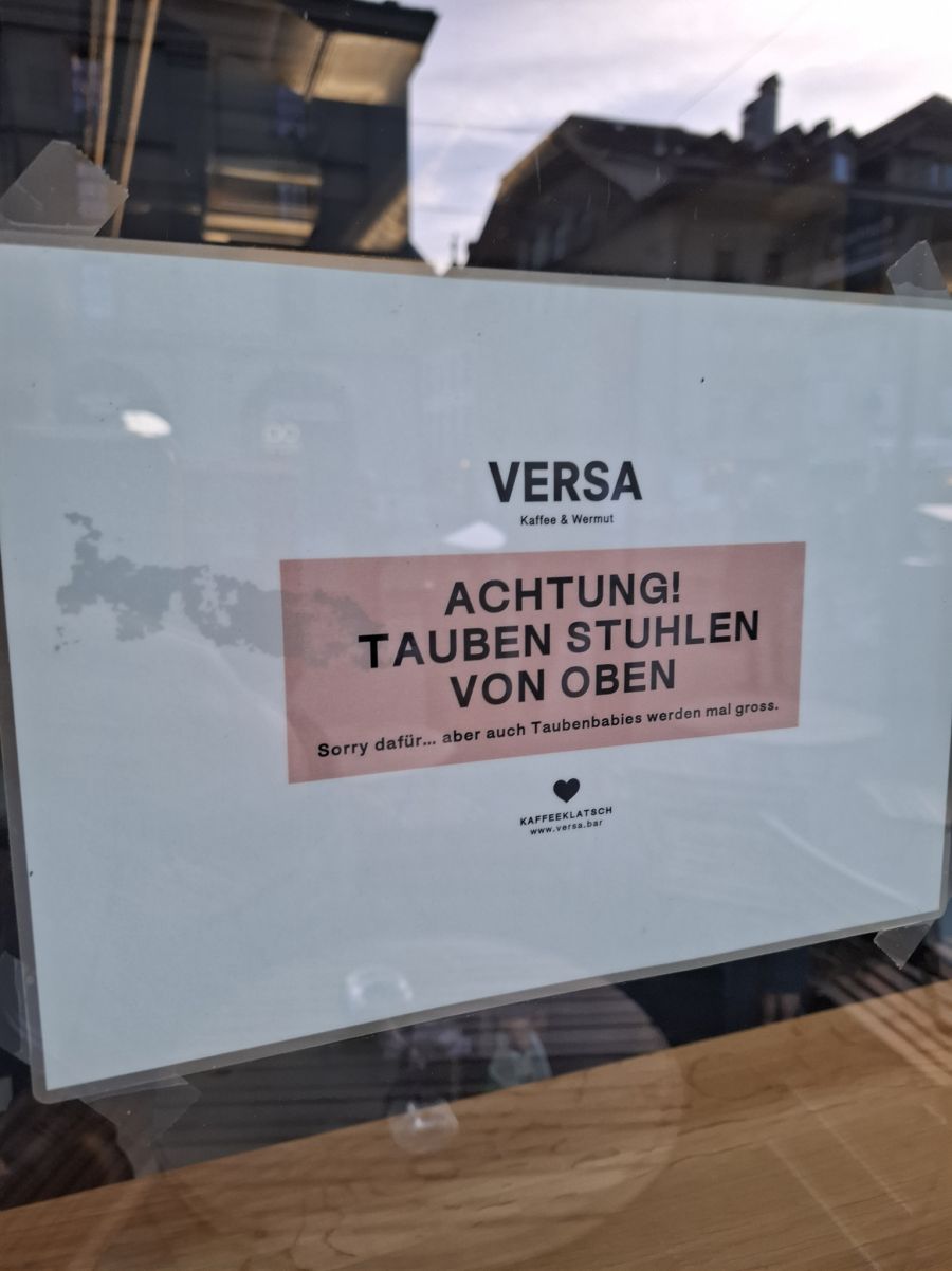 Gäste einer Berner Bar müssen aufpassen – sonst bekommen sie Tauben-Kot ab.