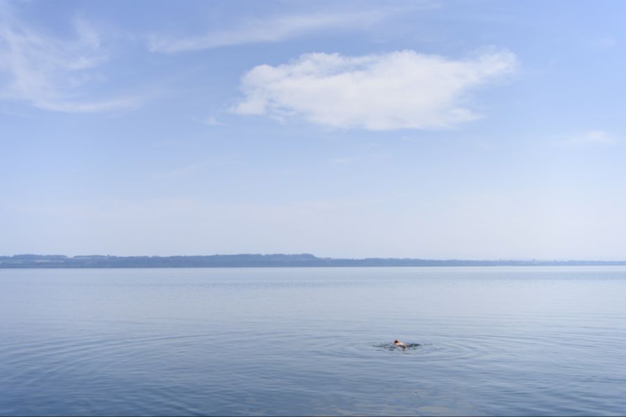 Gefangen wurde der Fisch im Neuenburgersee.